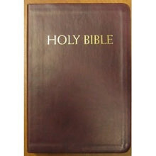 NABRE Catholic Companion Bible-Burgundy Imitation Leather