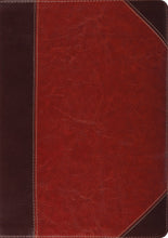 ESV Study Bible-Brown Cordovan Portfolio Design TruTone Indexed