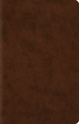 ESV Wide Margin Reference Bible-Brown TruTone