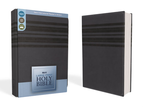 NIrV Large Print Holy Bible-Slate Blue DuoTone