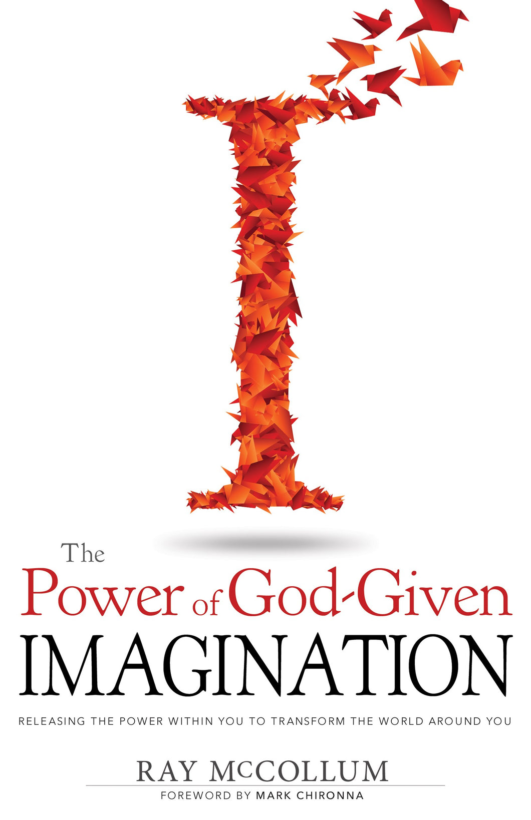 The Power of God Given Imagination : Releasing the Power Within You to Transform the World Around You (Paperback)