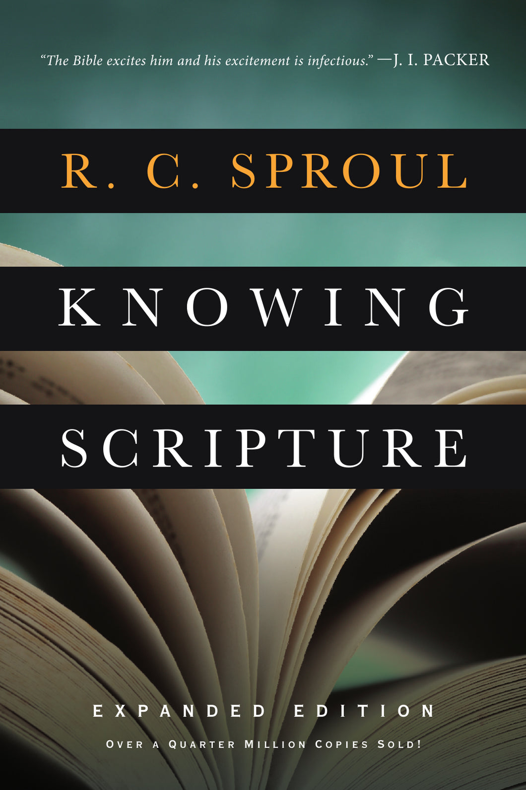 Knowing Scripture (Expanded Edition)