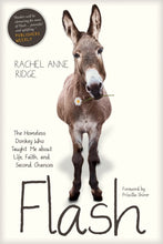 Flash: The Homeless Donkey Who Taught Me About Life  Faith  And Second Chances