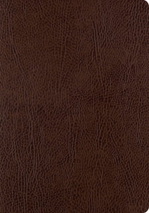 ESV Single Column Journaling Bible/Large Print-Mocha Bonded Leather