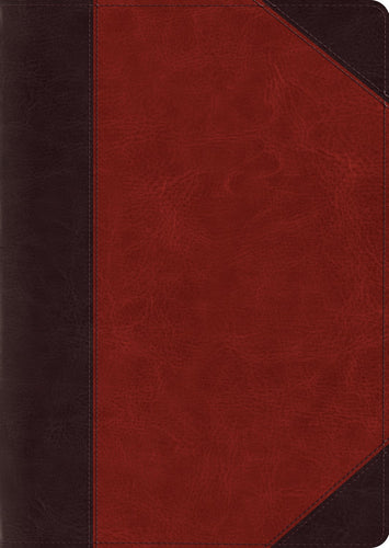 ESV Study Bible/Large Print-Brown Cordovan Portfolio Design TruTone