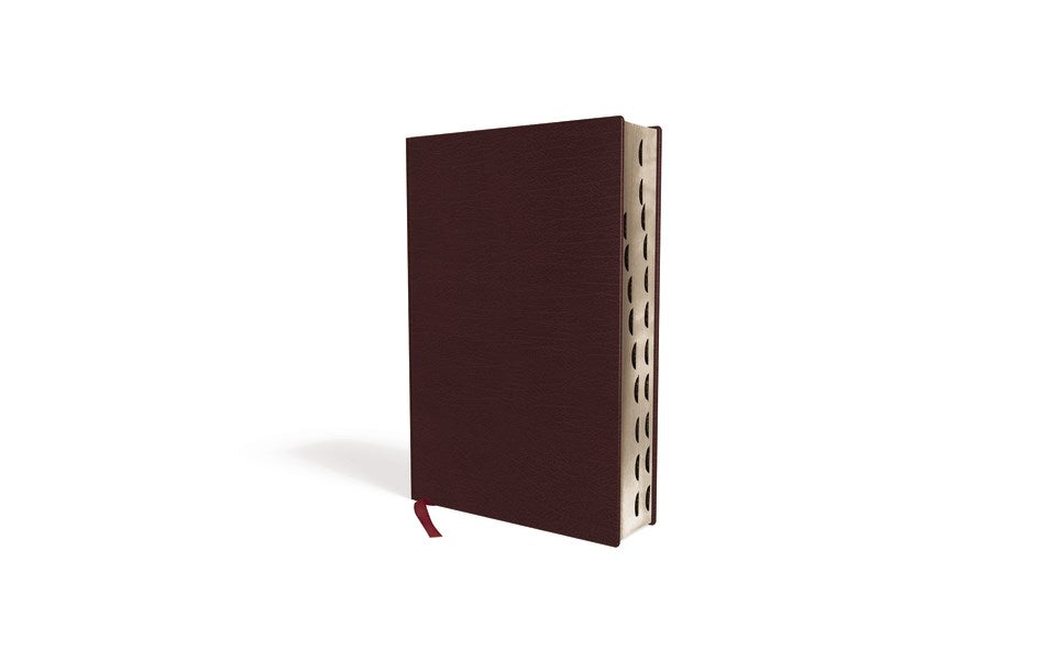 NIV Thinline Bible/Giant Print (Comfort Print)-Burgundy Bonded Leather Indexed