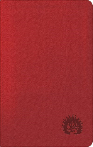 ESV Reformation Study Bible: Condensed Edition-Red LeatherLike