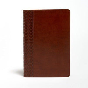 KJV Everyday Study Bible-British Tan LeatherTouch