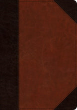 ESV Large Print/Wide Margin Bible-Brown Cordovan Portfolio Design TruTone