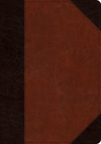 ESV Large Print/Wide Margin Bible-Brown Cordovan Portfolio Design TruTone
