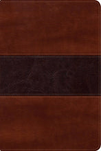 RVR 1960 Fisher Of Men Bible (Biblia del Pescador)-Mahogany LeatherTouch