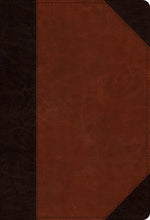 ESV Student Study Bible-Brown/Cordovan Portfolio Design TruTone
