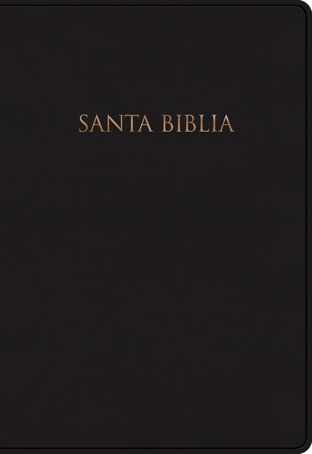 NVI Gift And Award Bible (Biblia Para Regalos Y Premios)-Black Hardcover