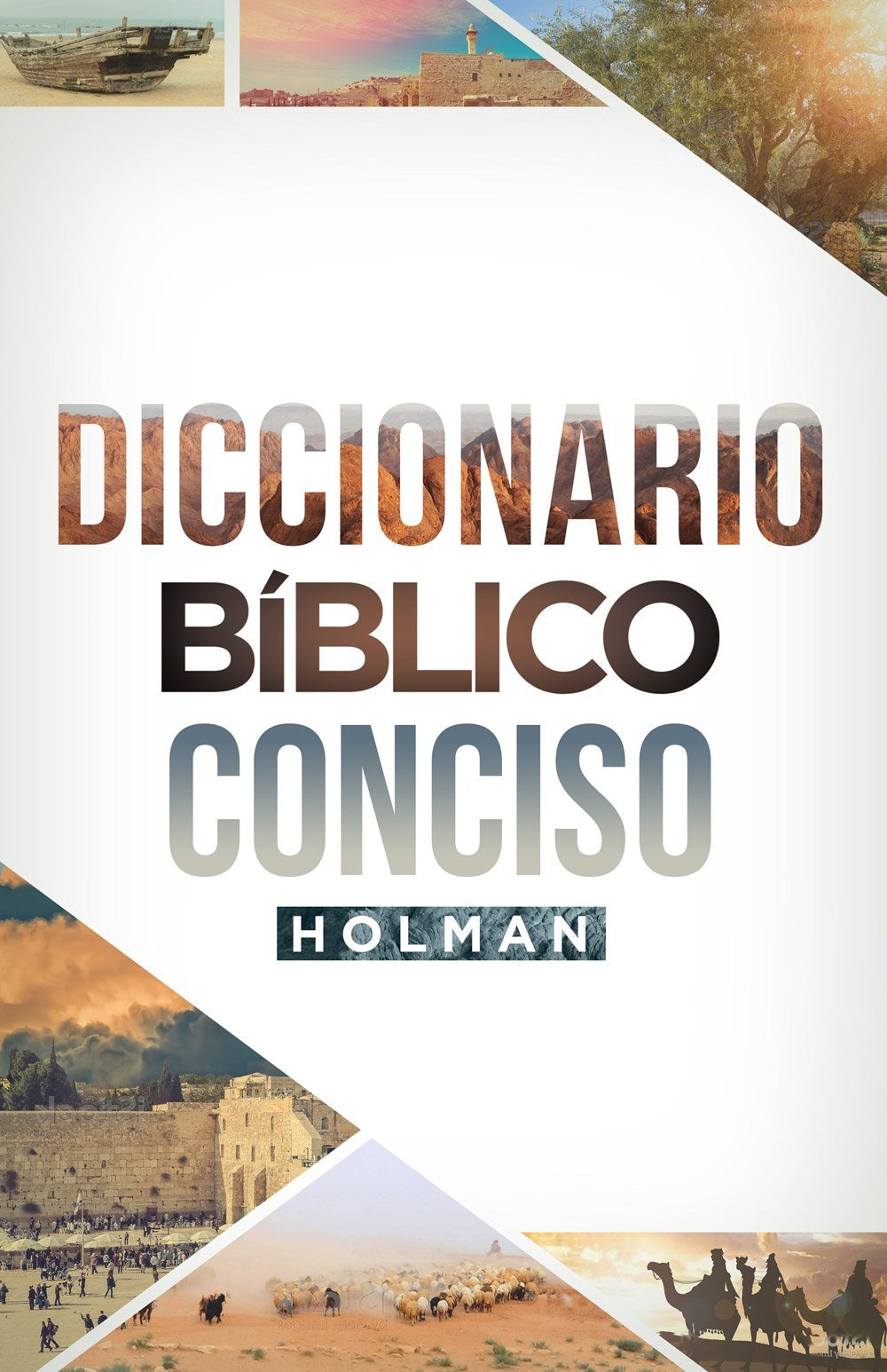 Diccionario Bíblico Conciso Holman (Hardcover)