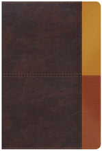 RVR 1960 Biblia de Estudio Arcoiris (Rainbow Study Bible)-Cocoa/Terracota LeatherTouch