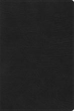 RVR 1960 Biblia de Estudio Arcoiris (Rainbow Study Bible)-Black Imitation Leather Indexed