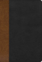 RVR 1960 Biblia de Estudio Arcoiris (Rainbow Study Bible)-Tan/Black Imitation Leather Indexed