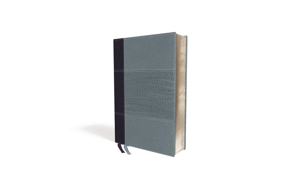 NIV Study Bible/Personal Size (Fully Revised Edition) (Comfort Print)-Navy/Slate Blue Leathersoft