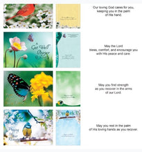 Card-Boxed-Shared Blessings-Get Well Birds And Butterflies (Box Of 12)