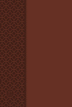 The Passion Translation New Testament w/Psalms  Proverbs & Song Of Songs/Large Print (2020)-Brown Imitation Leather
