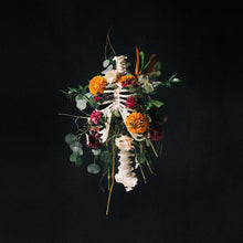 Audio CD-Graves Into Gardens
