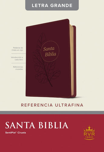 RVR 1960 Slimline Reference Edition/Large Print (Edicion de Referencia Ultrafina  Letra Grande)-Plum LeatherLike Indexed