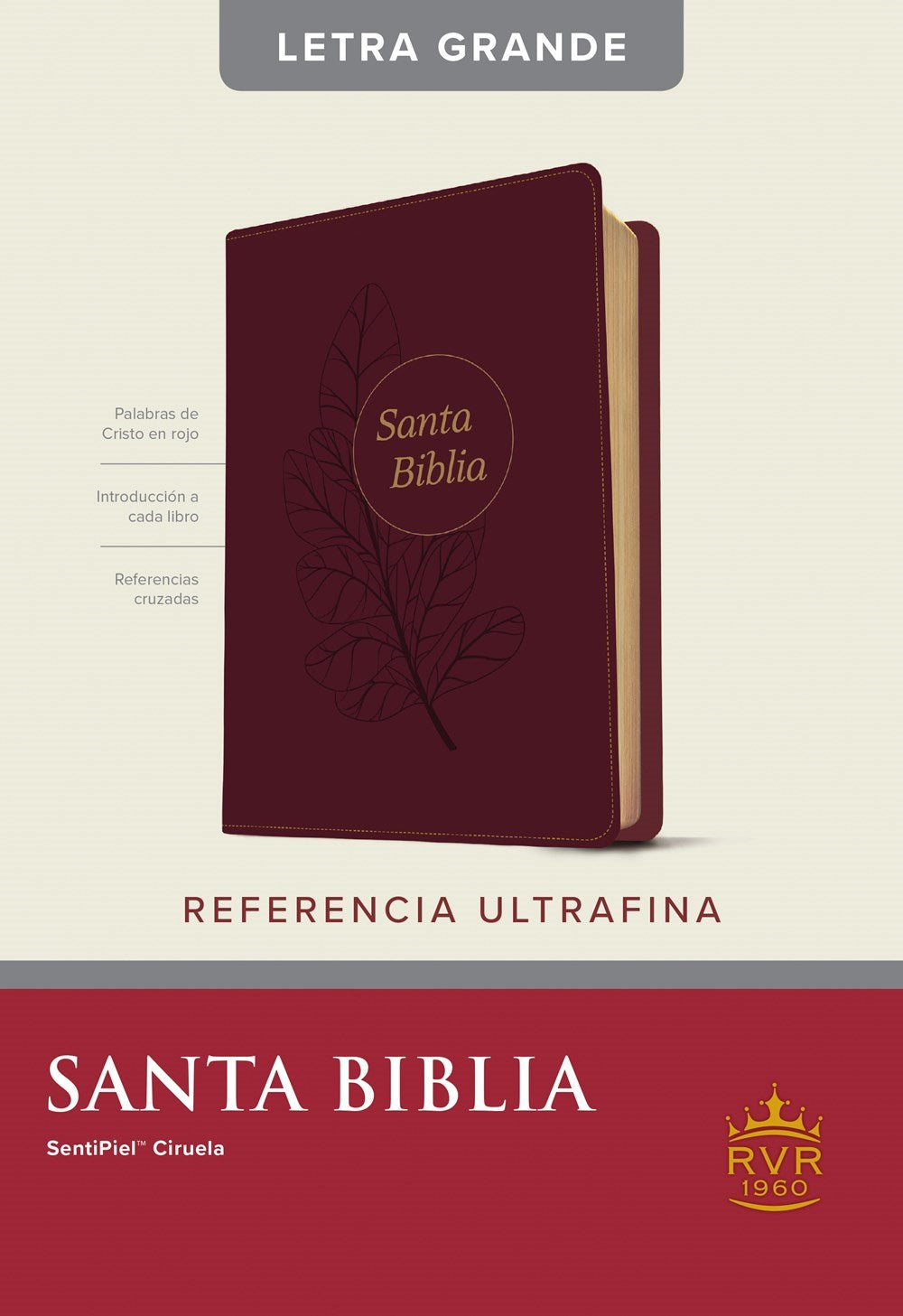 RVR 1960 Slimline Reference Edition/Large Print (Edicion de Referencia Ultrafina  Letra Grande)-Plum LeatherLike Indexed