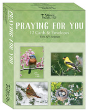 Card-Boxed-Praying For You-Songbirds (Box Of 12)