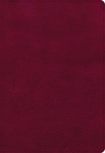 NASB 2020 Super Giant Print Reference Bible-Burgundy LeatherTouch