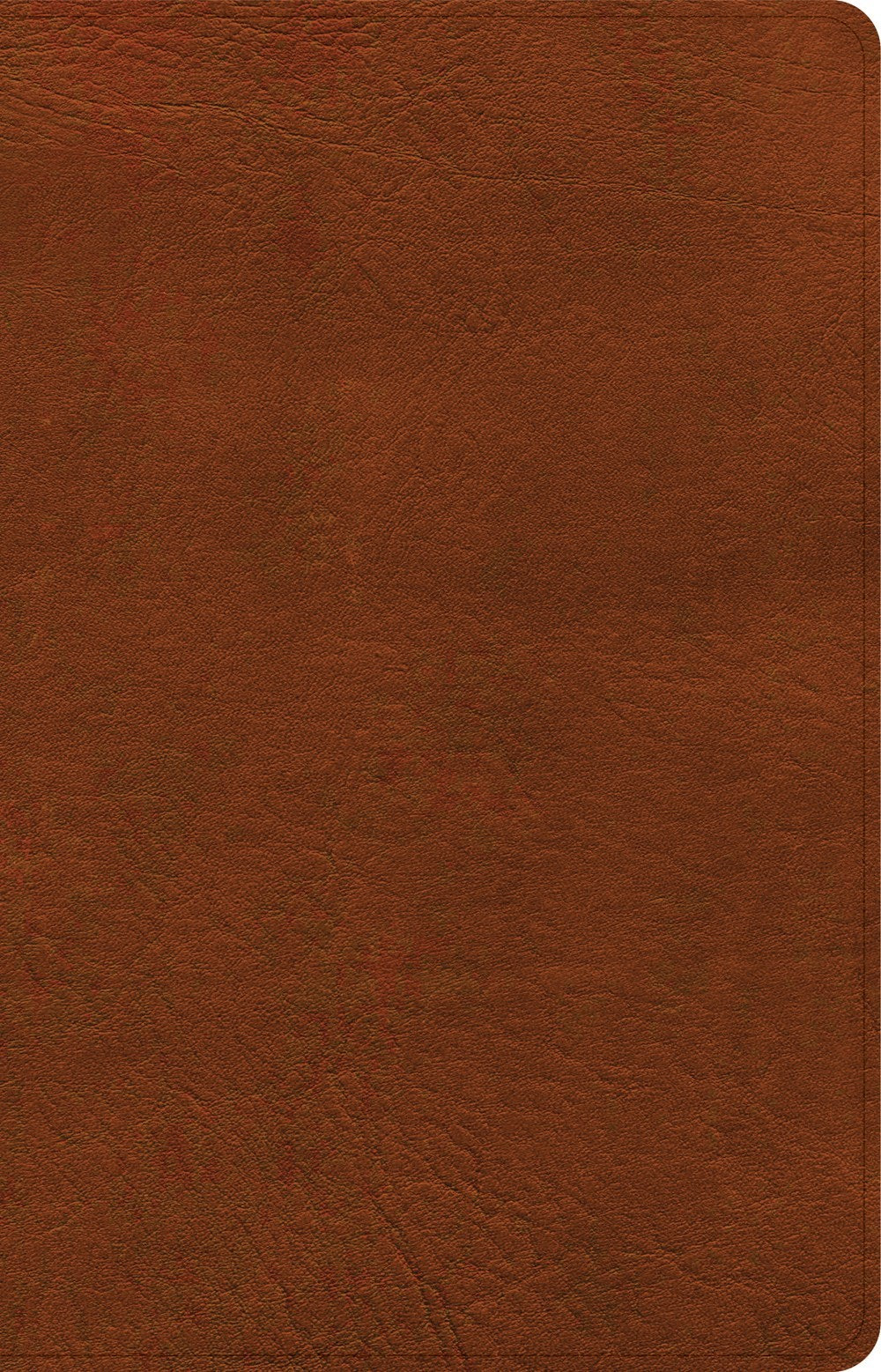 NASB 2020 Large Print Personal Size Reference Bible-Burnt Sienna LeatherTouch Indexed