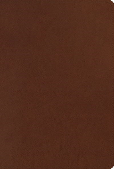 ESV Men's Study Bible-Brown TruTone