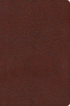 CSB Large Print Thinline Bible-Brown Bonded Leather Indexed