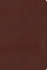 CSB Large Print Thinline Bible-Brown Bonded Leather Indexed