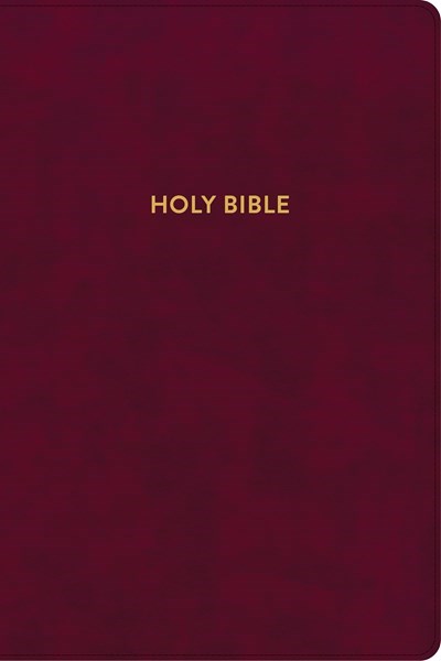 KJV Rainbow Study Bible-Burgundy LeatherTouch