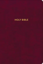 KJV Rainbow Study Bible-Burgundy LeatherTouch Indexed