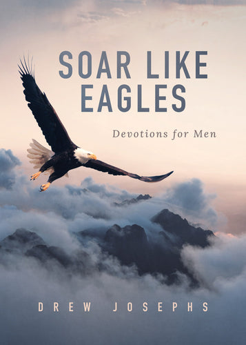 Soar Like Eagles : Devotions for Men (Paperback)