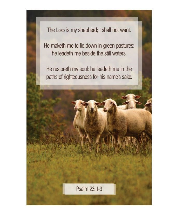 Bulletin-The Lord Is My Shepherd  I Shall Not Want (Pack Of 100)