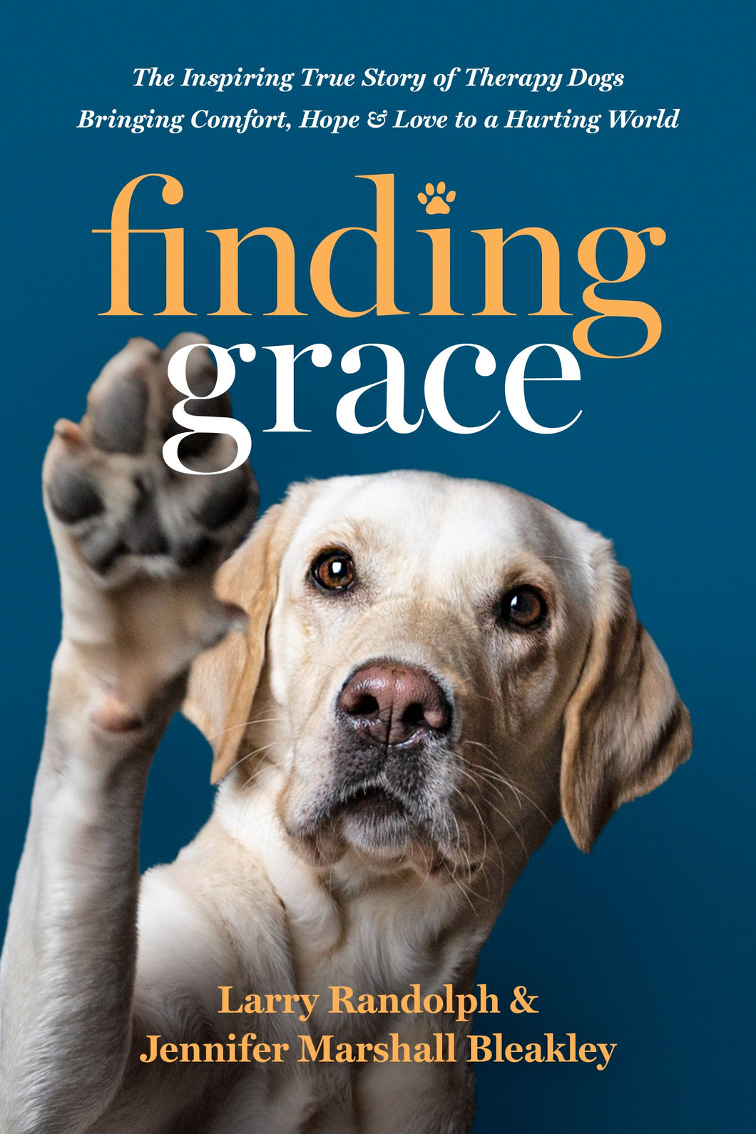 Finding Grace-Hardcover