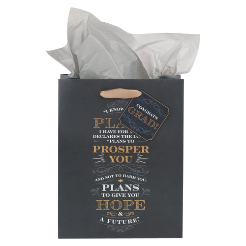Gift Bag-Medium-I Know the Plans Jer. 29:11