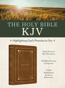 KJV Highlighting God's Promises To You Bible-Gold & Camel Imitation Leather