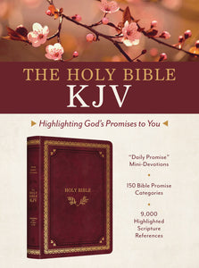KJV Highlighting God's Promises To You Bible-Crimson & Gold Imitation Leather