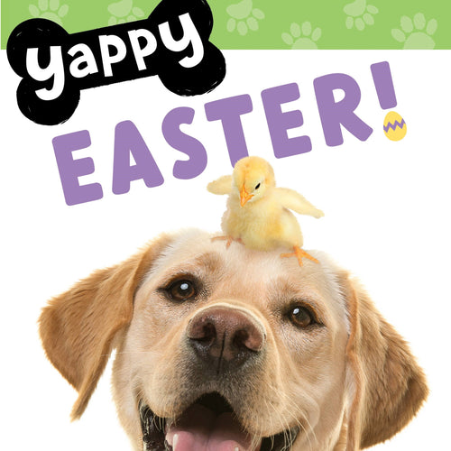Yappy Easter! Board Book