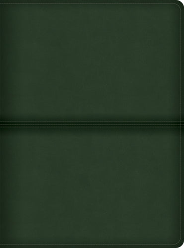 CSB Men's Daily Bible-Olive LeatherTouch Indexed