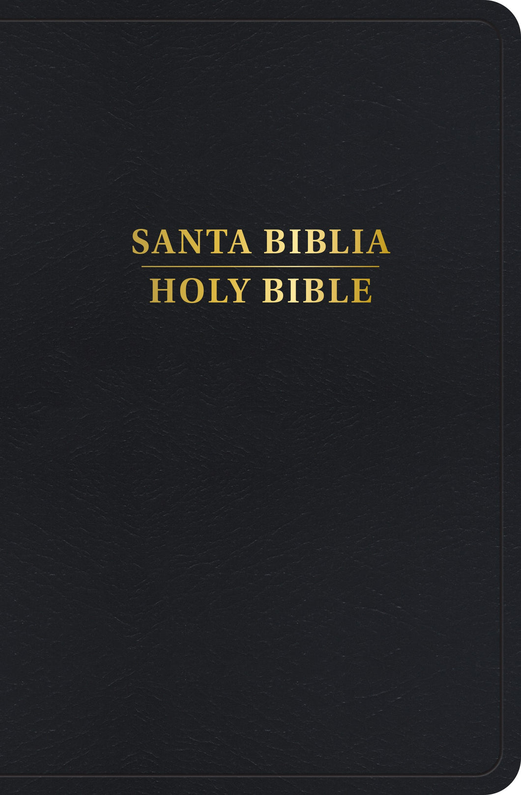 RVR 1960/KJV Personal Size Bilingual Bible (Biblia Bilingue Tamano Personal)-Black Imitation Leather Indexed