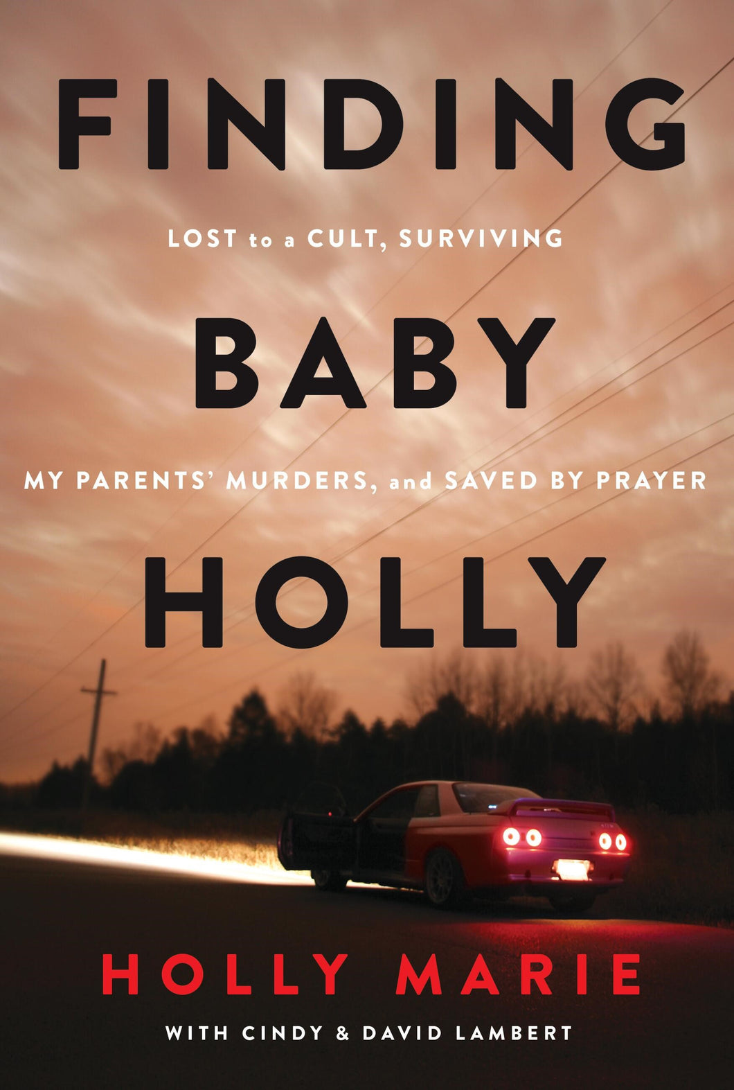 Finding Baby Holly-Softcover
