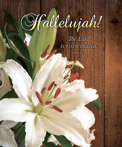Bulletin-Hallelujah! The Lord Is Risen Indeed (Luke 24:34)-Legal Size (Pack Of 100)