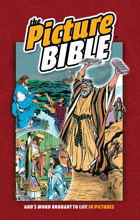 The Picture Bible-Hardcover