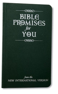 Bible Promises For You (From The NIV)