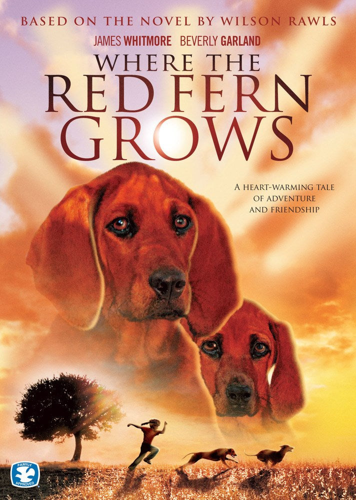 DVD-Where The Red Fern Grows V1