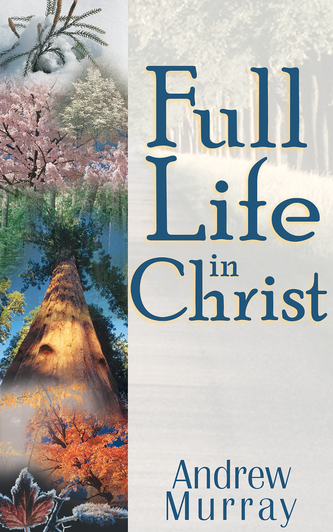 Full Life In Christ